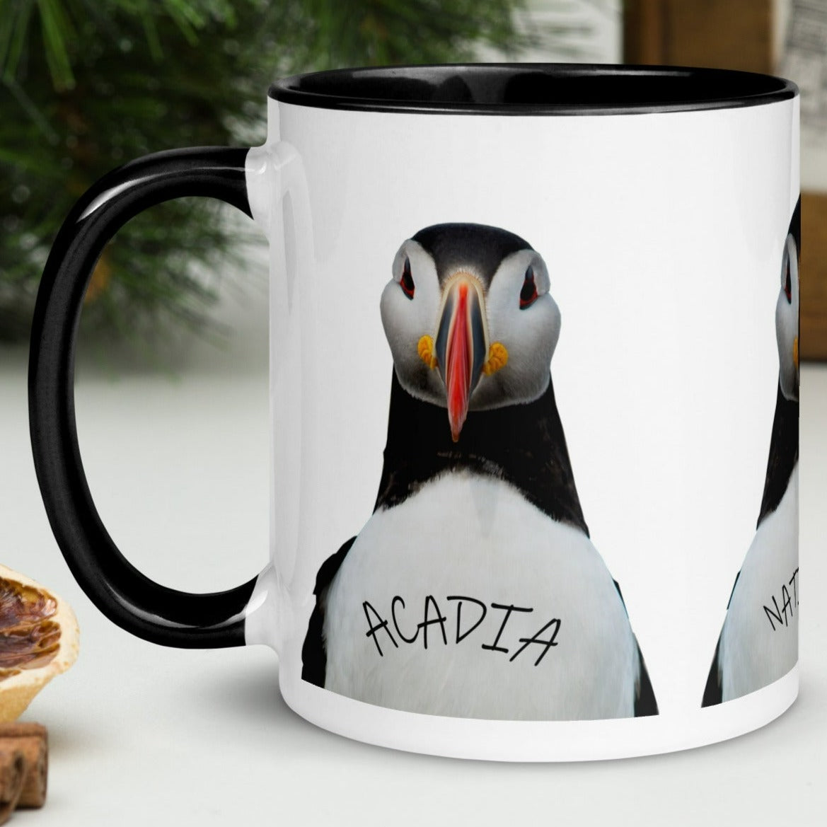 Acadia Park Puffin Mug with Color Inside