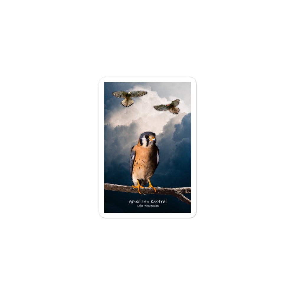 American Kestrel Bubble-Free Stickers