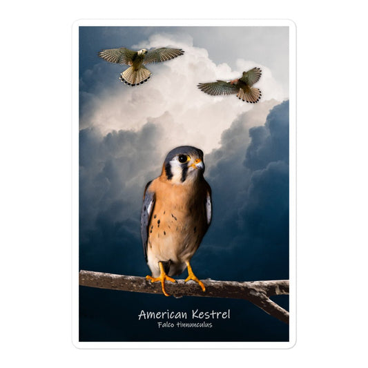 American Kestrel Bubble-Free Stickers