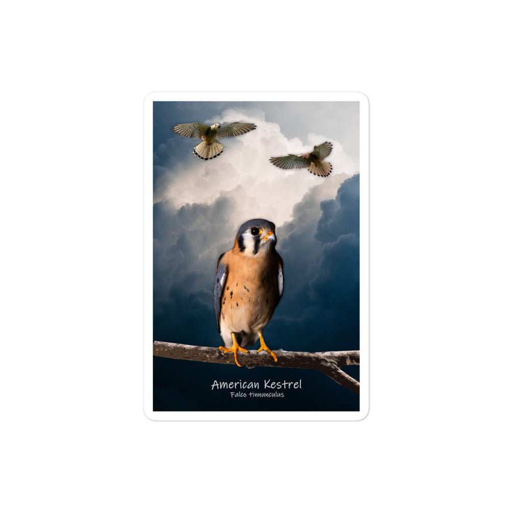 American Kestrel Bubble-Free Stickers