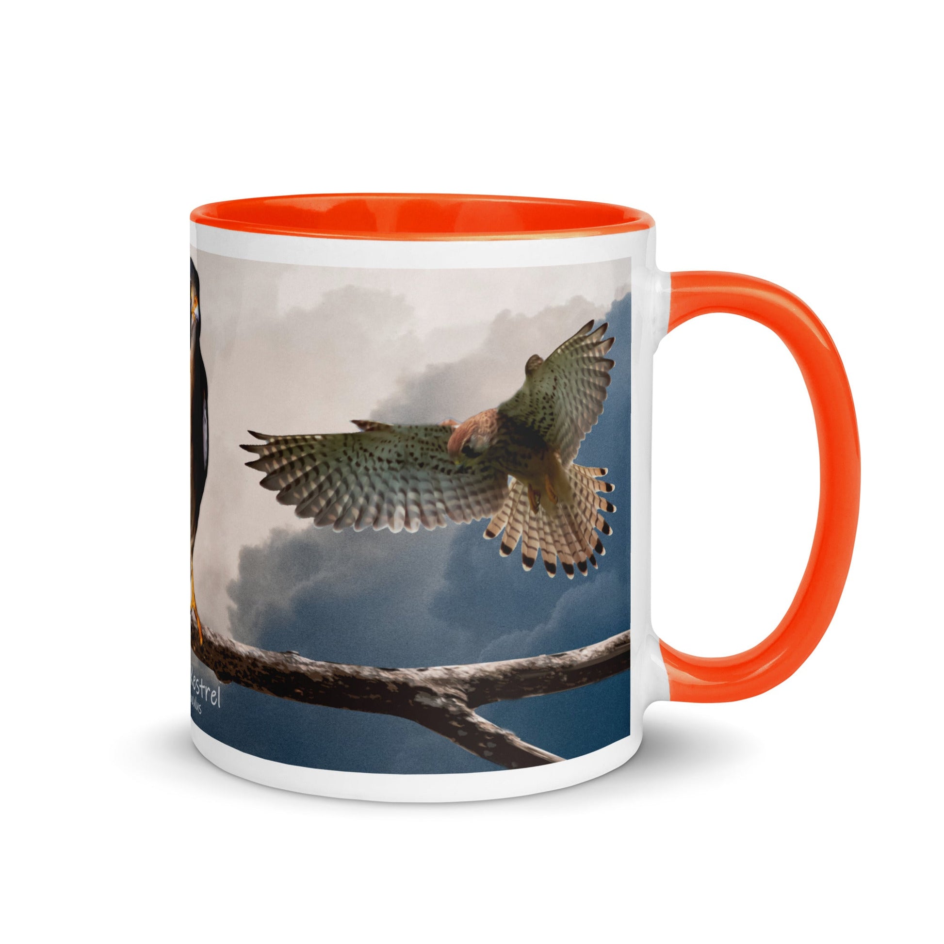 American Kestrel Mug with Color Inside