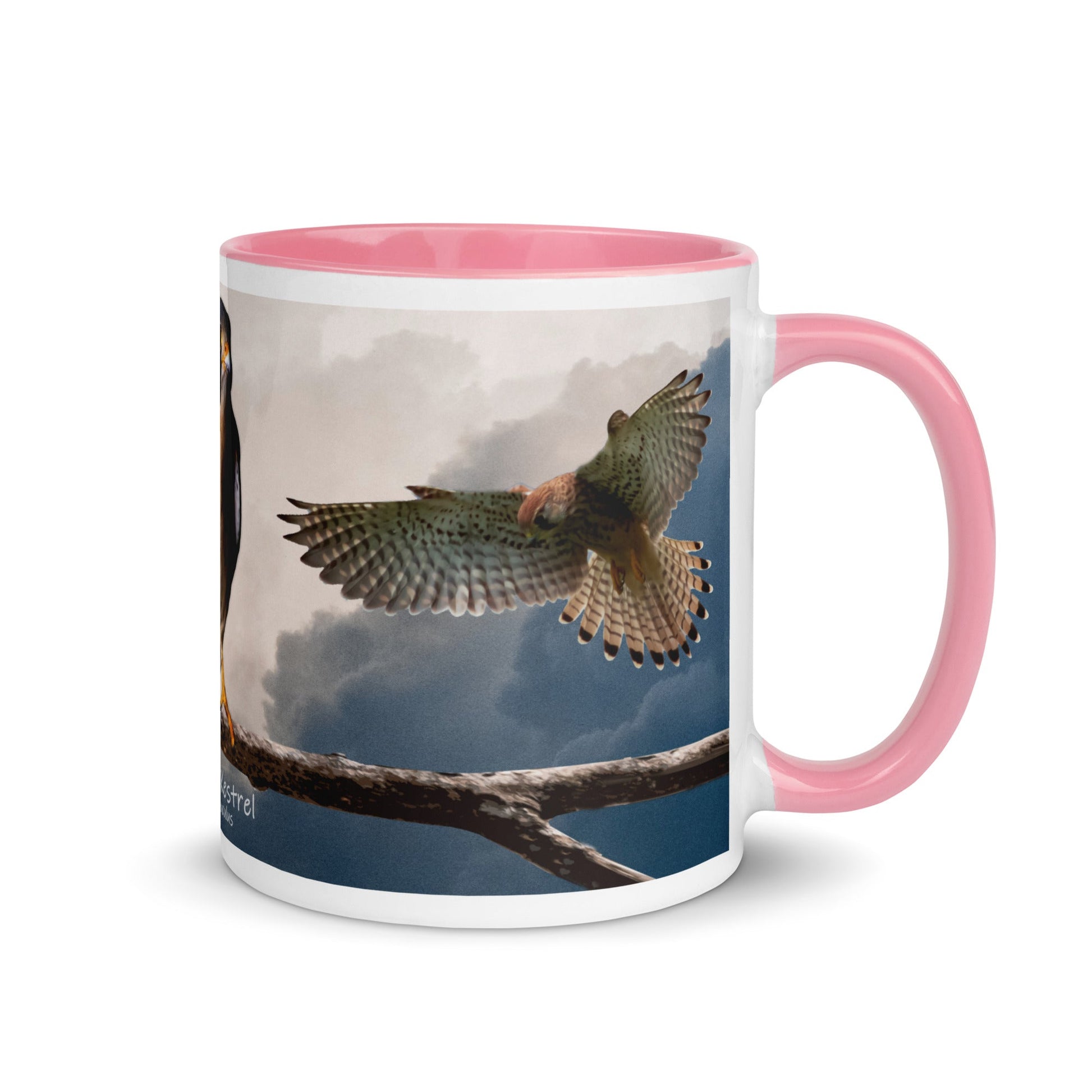 American Kestrel Mug with Color Inside