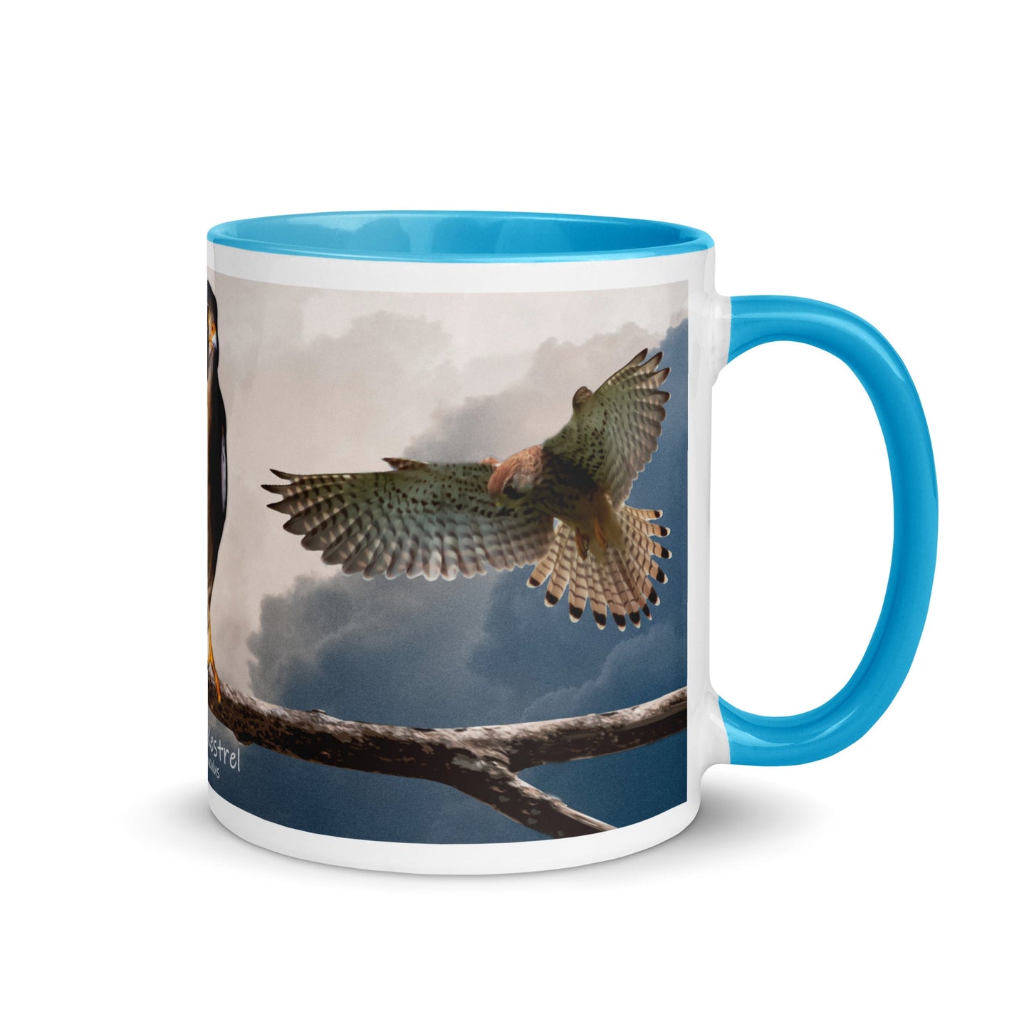 American Kestrel Mug with Color Inside