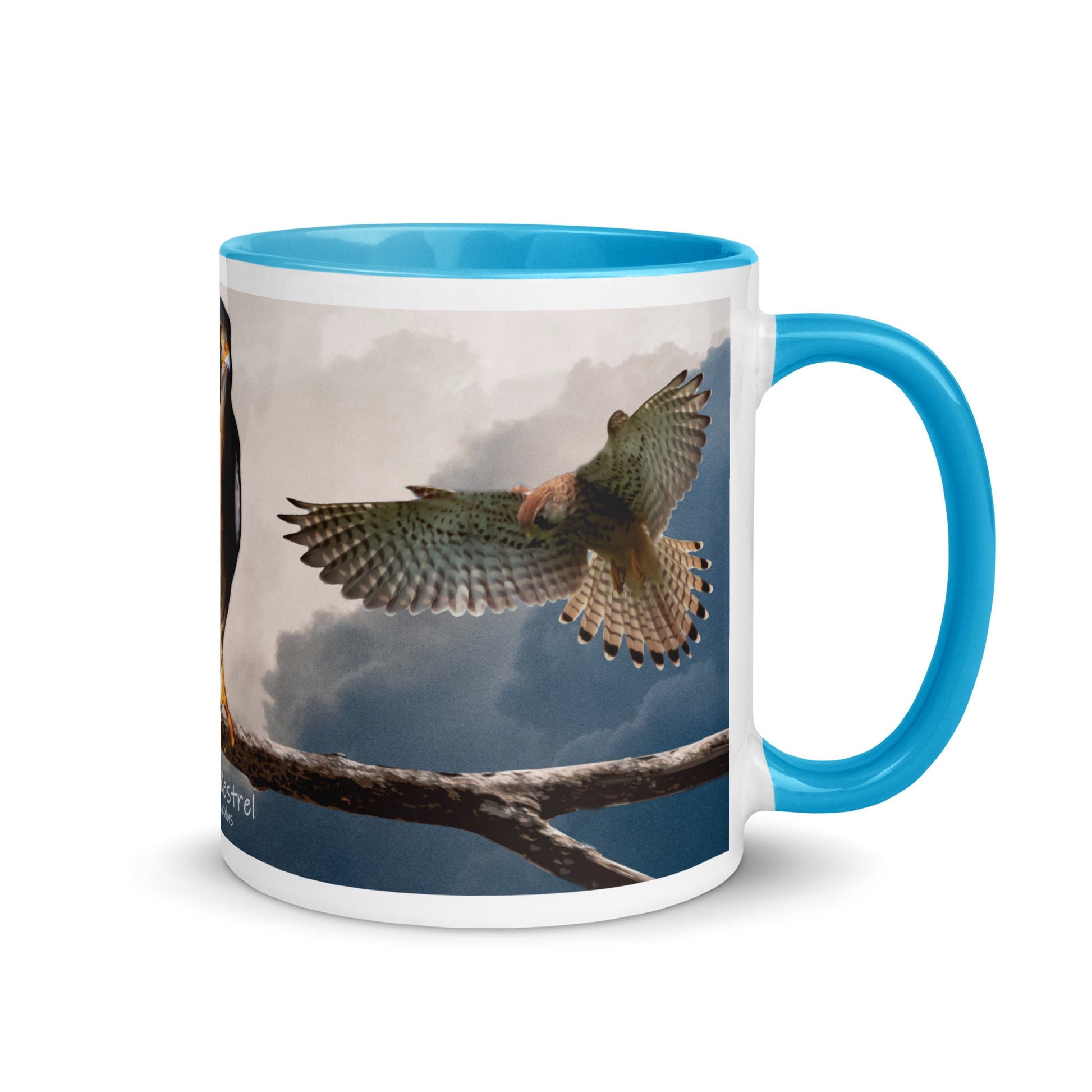 American Kestrel Mug with Color Inside