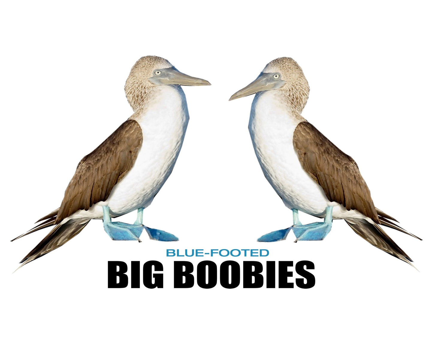 Big Blue-Footed Boobies Champion Women's Heritage Cropped T-Shirt