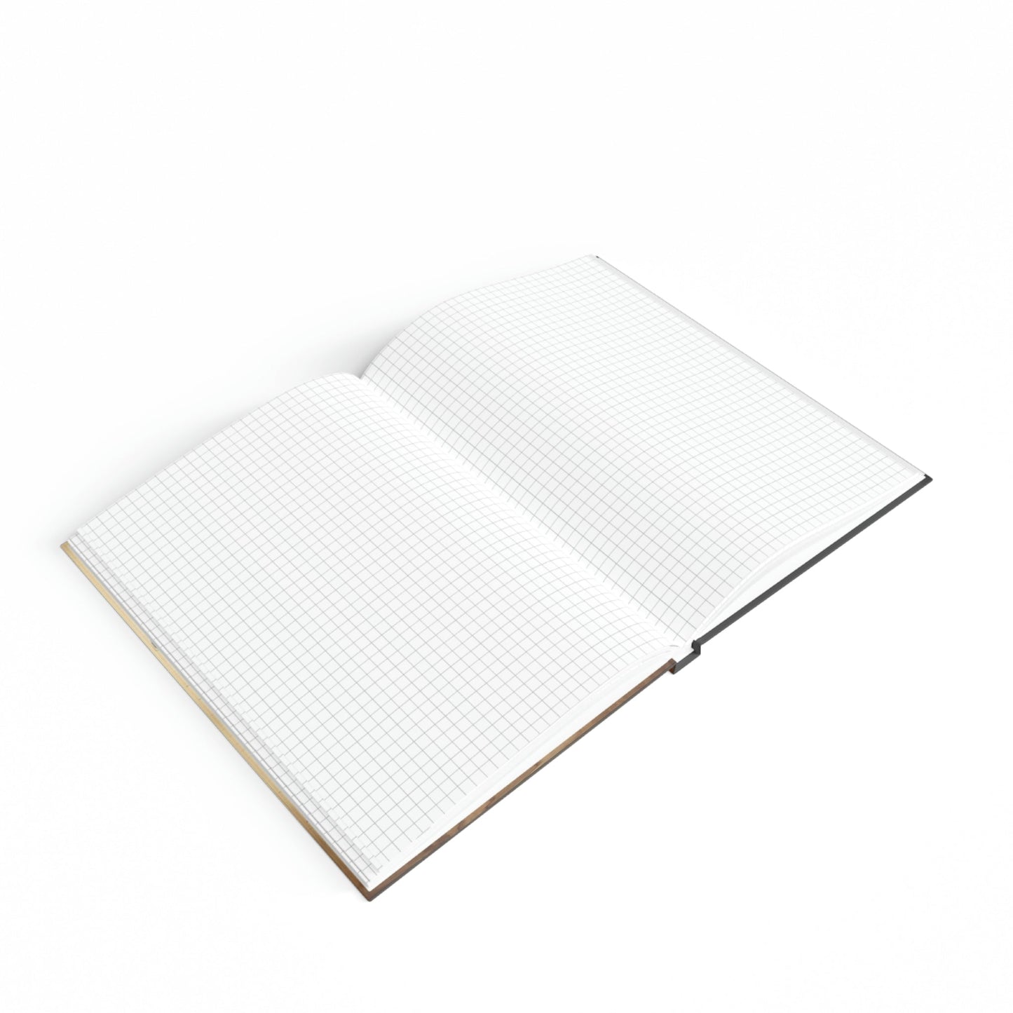 Boy's Sketchbook