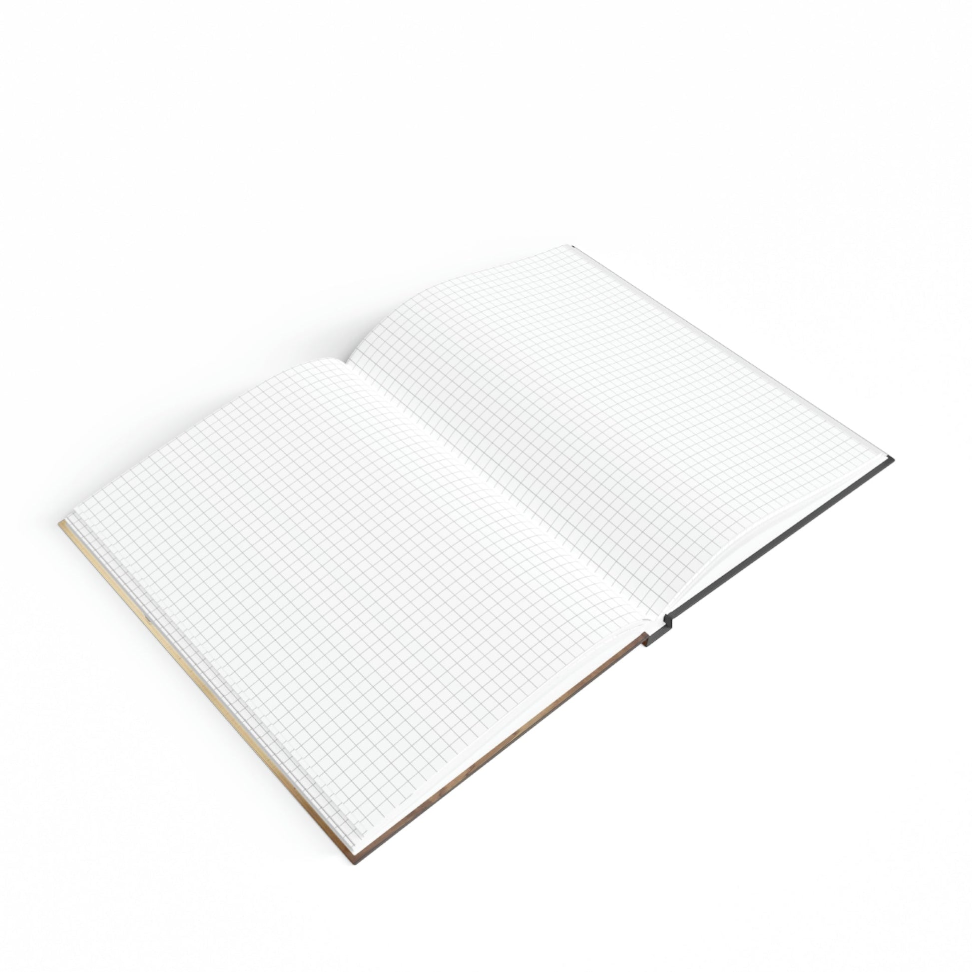 Boy's Sketchbook