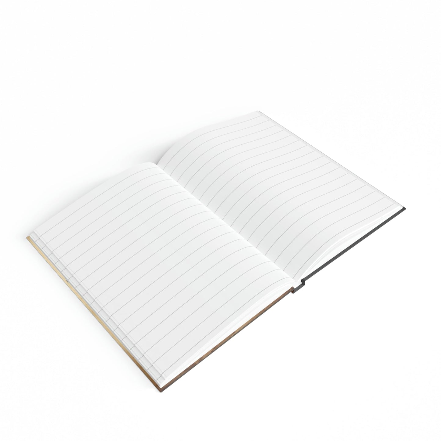 Boy's Sketchbook