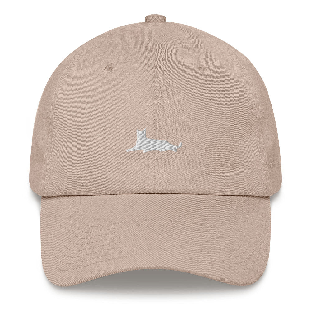 Cat Hat | Perfect gift for the cat lover in your family!