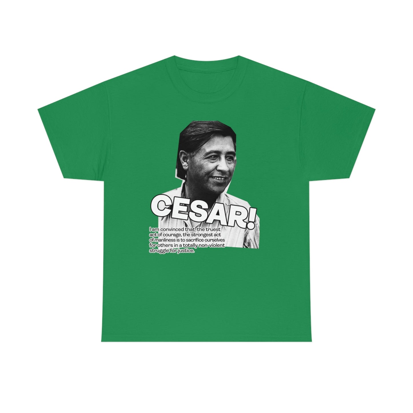 Cesar Chavez Quote Unisex Heavy Cotton Tee Hero Series Gloria Steinem Martin Luther King Jr