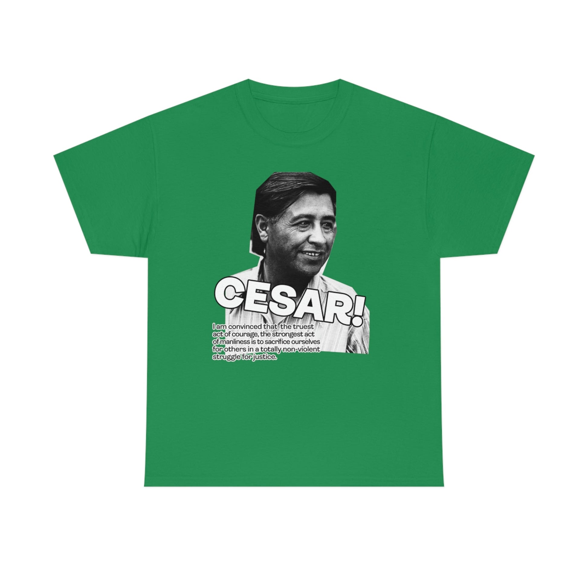 Cesar Chavez Quote Unisex Heavy Cotton Tee Hero Series Gloria Steinem Martin Luther King Jr