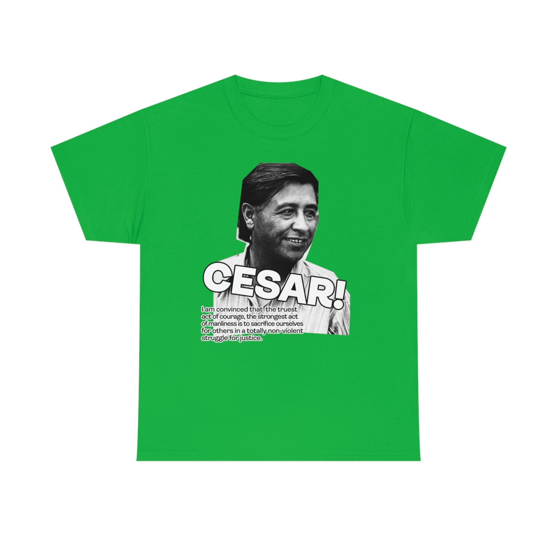 Cesar Chavez Quote Unisex Heavy Cotton Tee Hero Series Gloria Steinem Martin Luther King Jr
