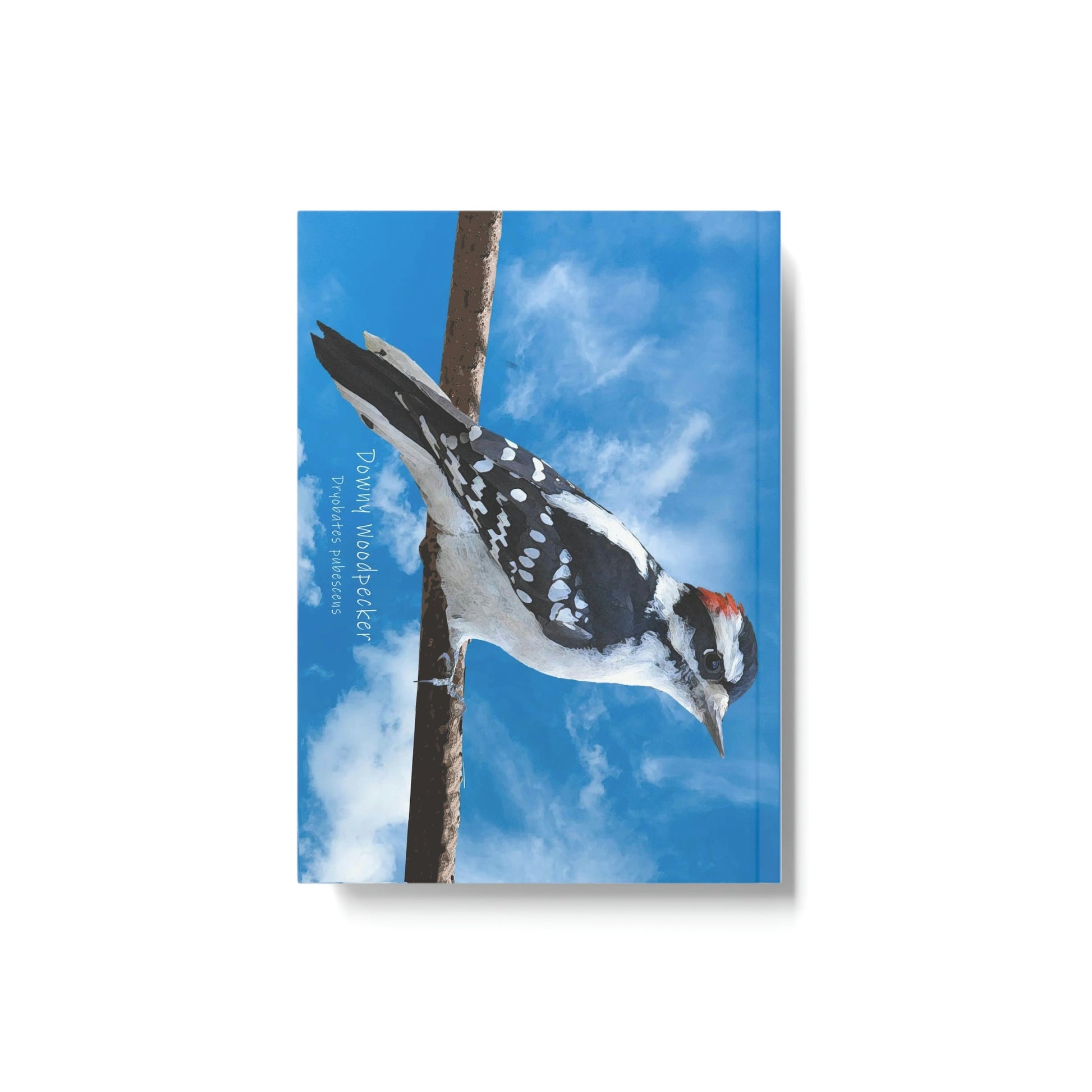 Downy Woodpecler (PS Dry Brush) Hard Backed Journal, Birds, Birding, Birder, Bird Watching, Bird Watcher, Birdwatcher Gifts,