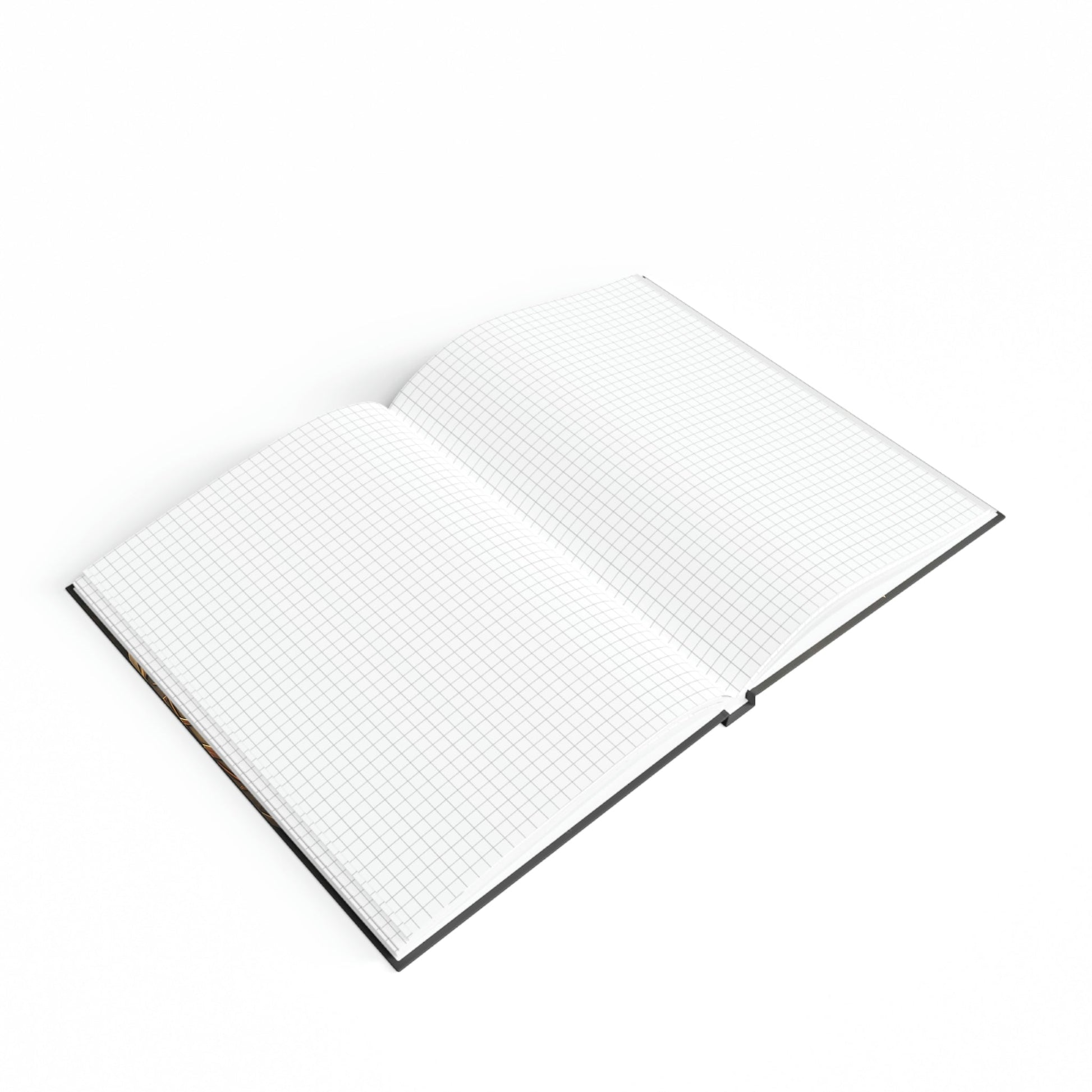 Dragon Medallion Hard Backed Journal