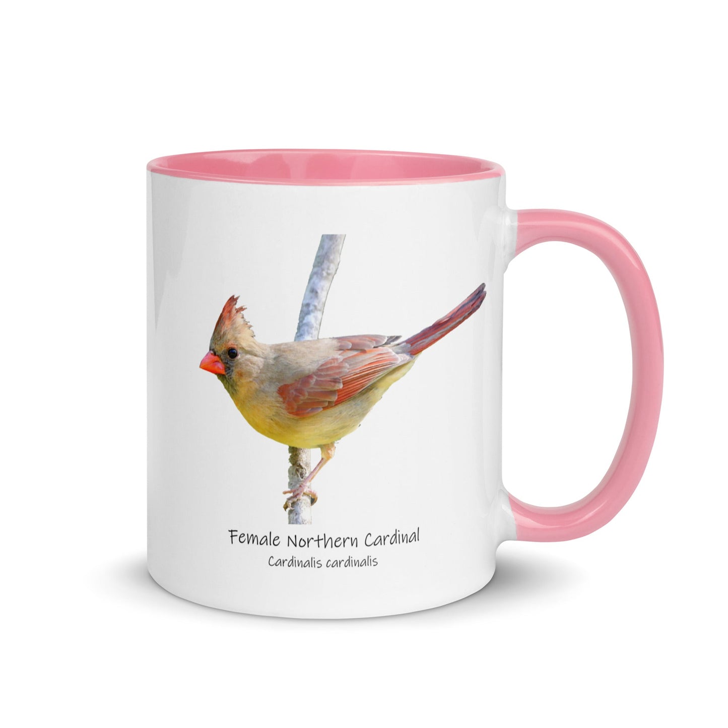 Female Northern Cardinal Mug with Color Inside