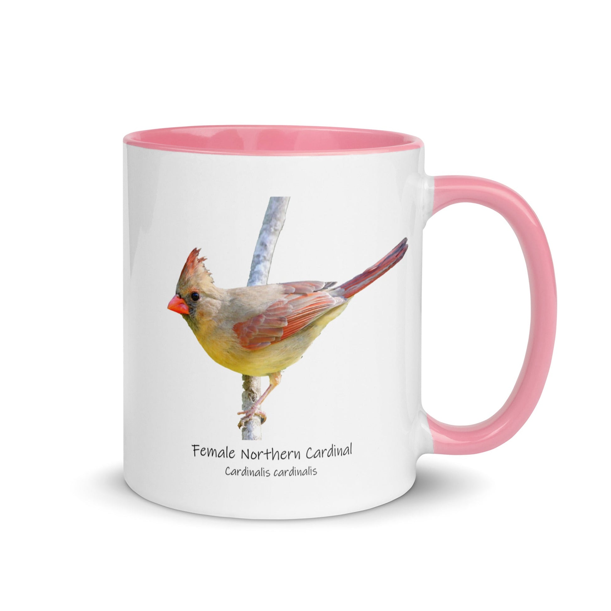 Female Northern Cardinal Mug with Color Inside