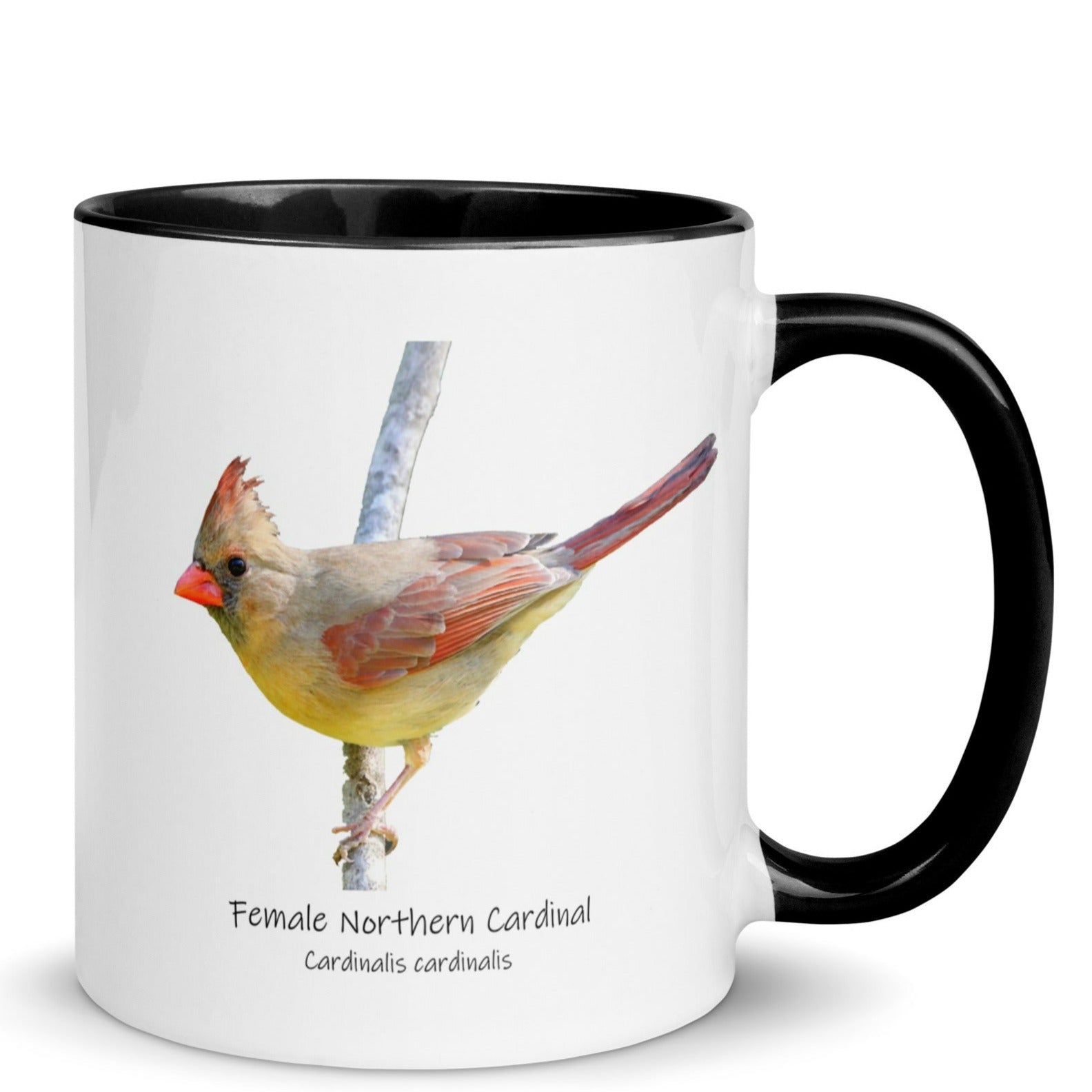 Female Northern Cardinal Mug with Color Inside