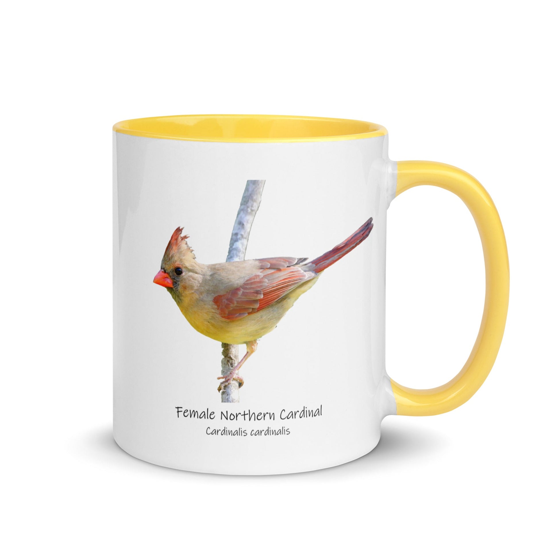 Female Northern Cardinal Mug with Color Inside