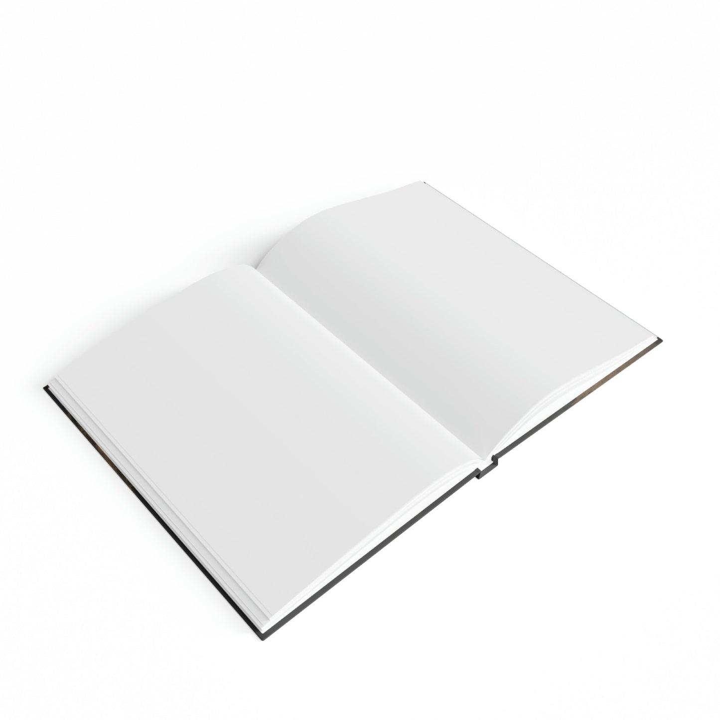 Grunge Dragon Hard Backed Journal