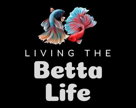 Living the Betta Life Heavy Cotton T-Shirt