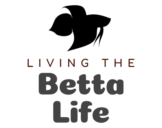 Living the Betta Life Heavy Cotton T-Shirt