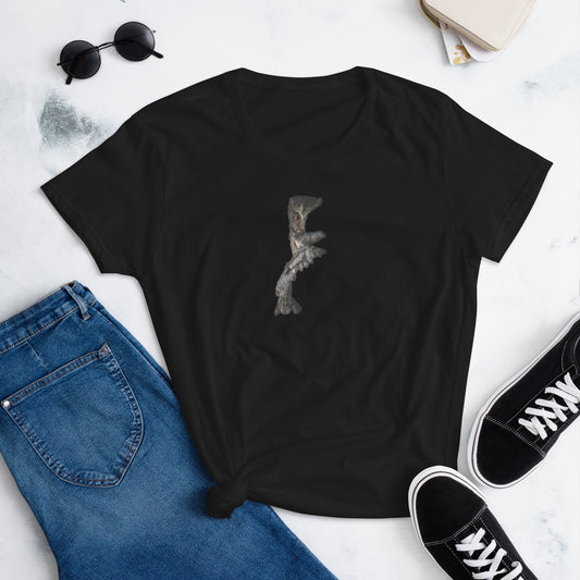 Midnight Owl Women's T-Shirt