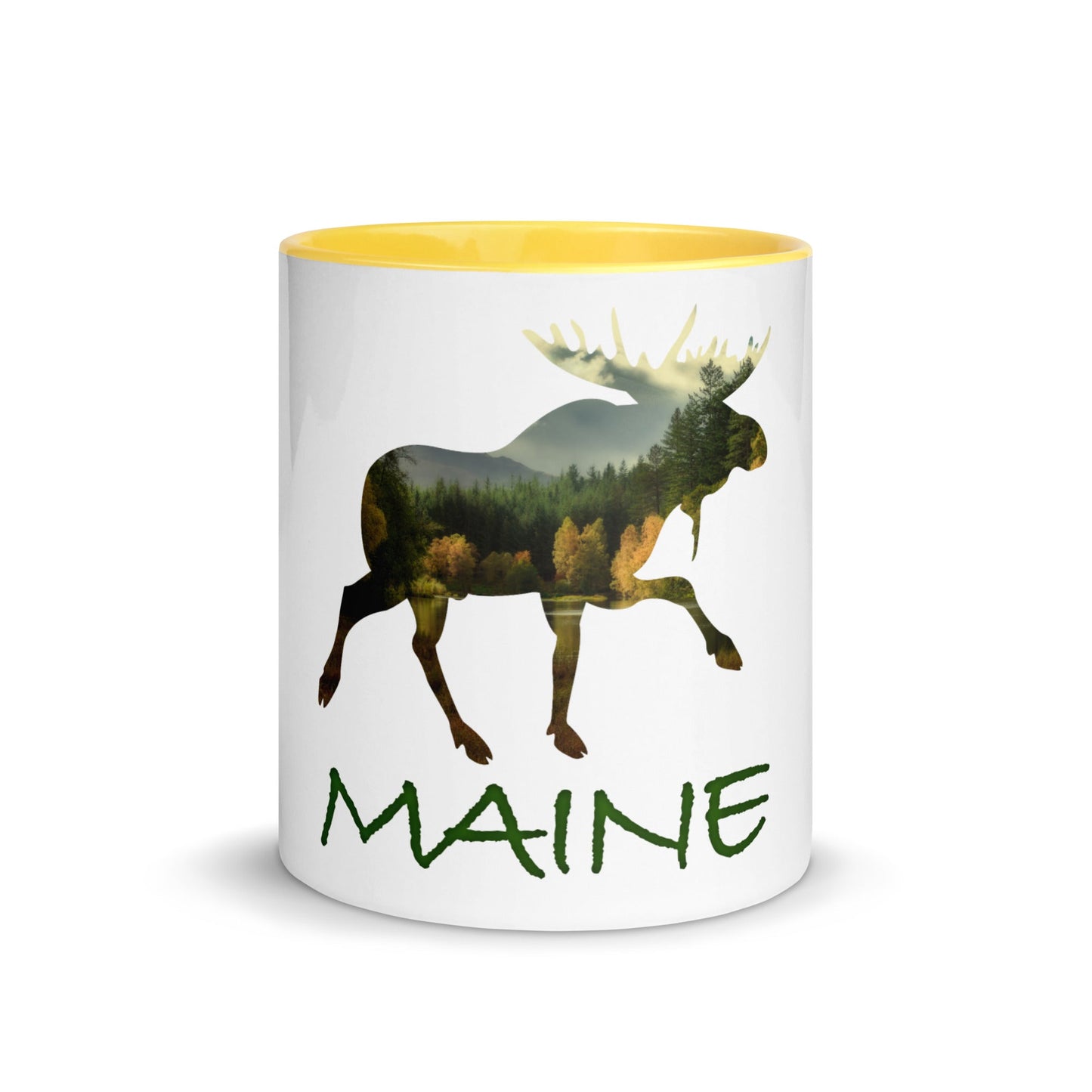 Minnesota Souvenir Mug with Color Inside
