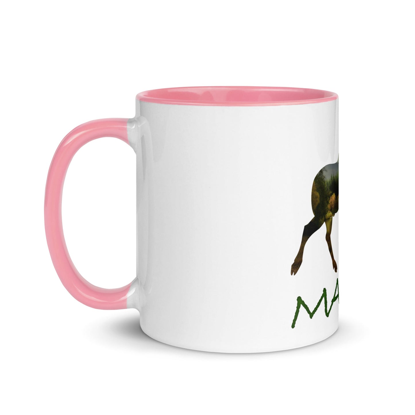 Minnesota Souvenir Mug with Color Inside