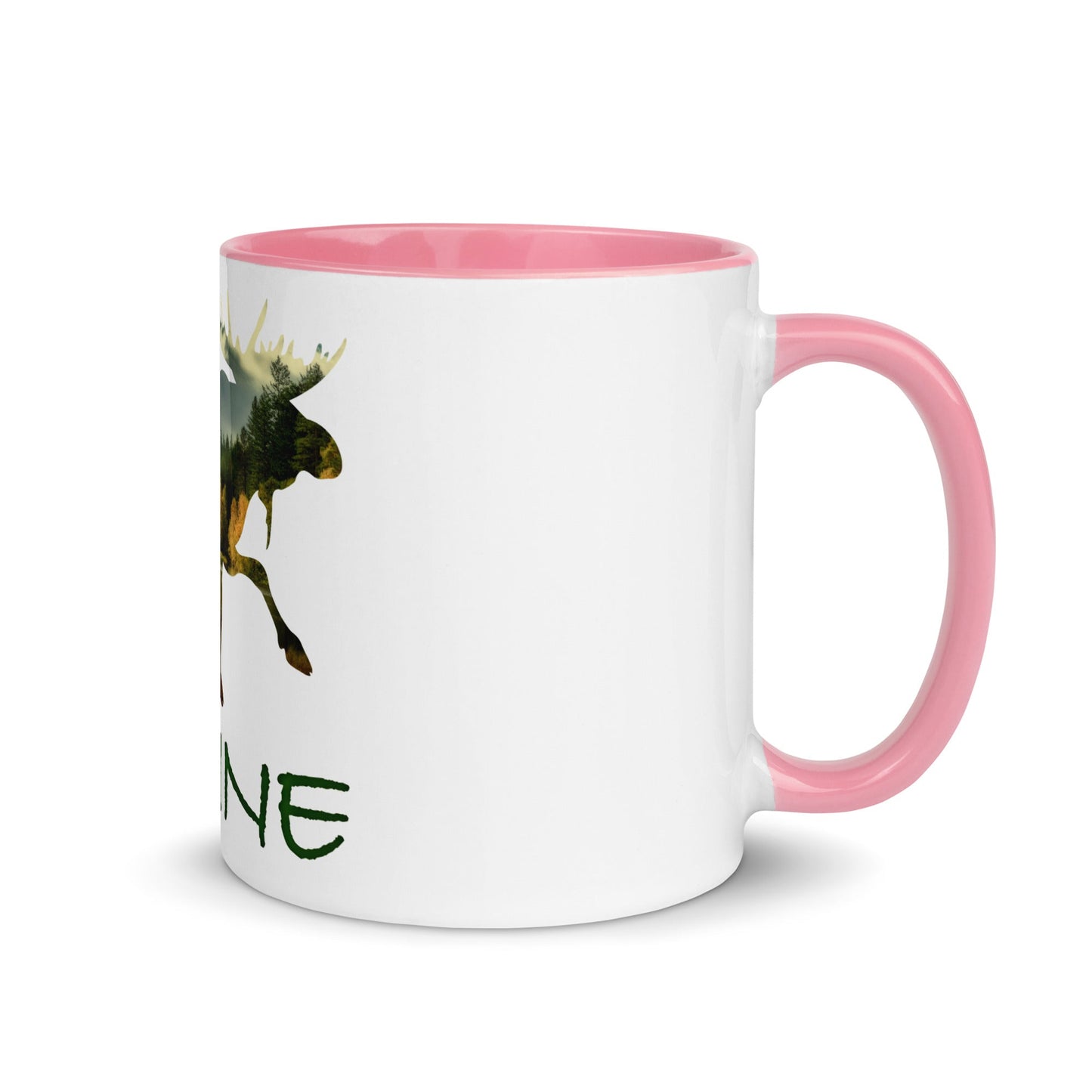Minnesota Souvenir Mug with Color Inside