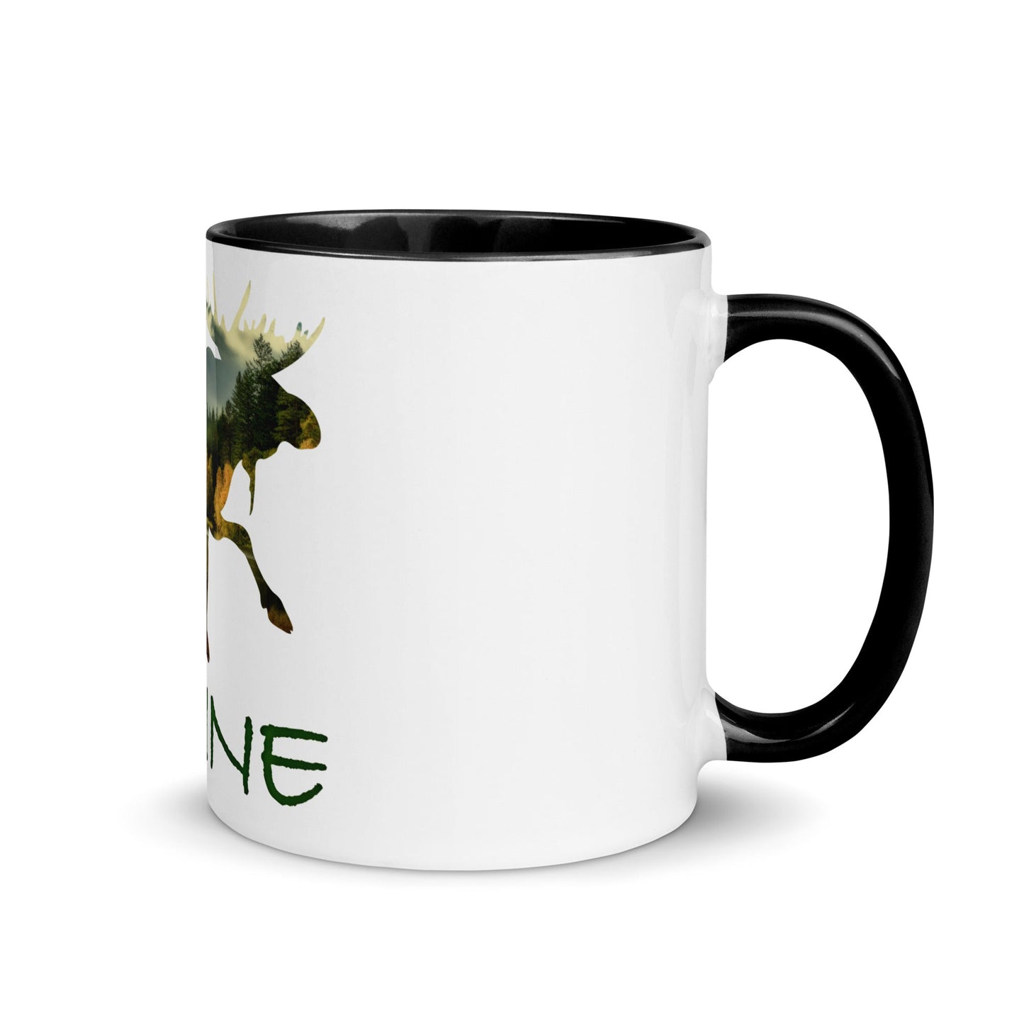 Minnesota Souvenir Mug with Color Inside
