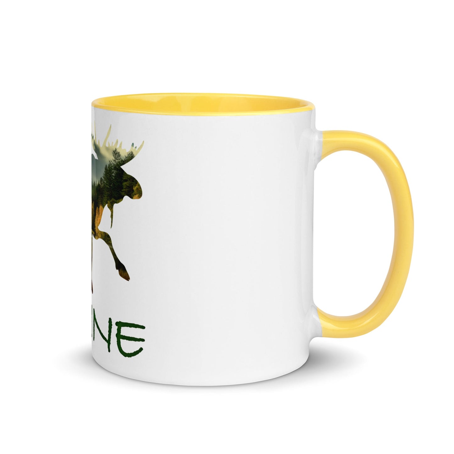 Minnesota Souvenir Mug with Color Inside
