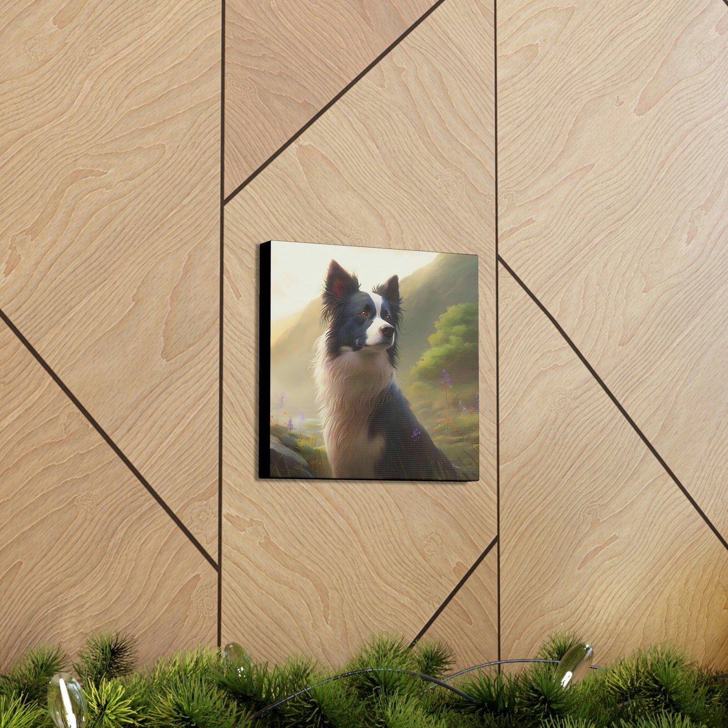Noble Sheep Herder Border Collie Frame Canvas Gallery Wraps