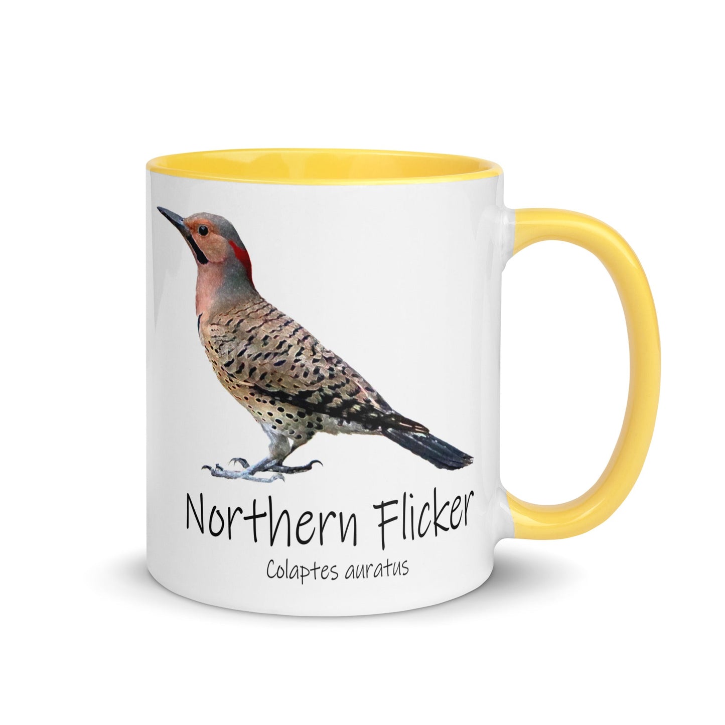 Northern Flicker Mug with Color Inside