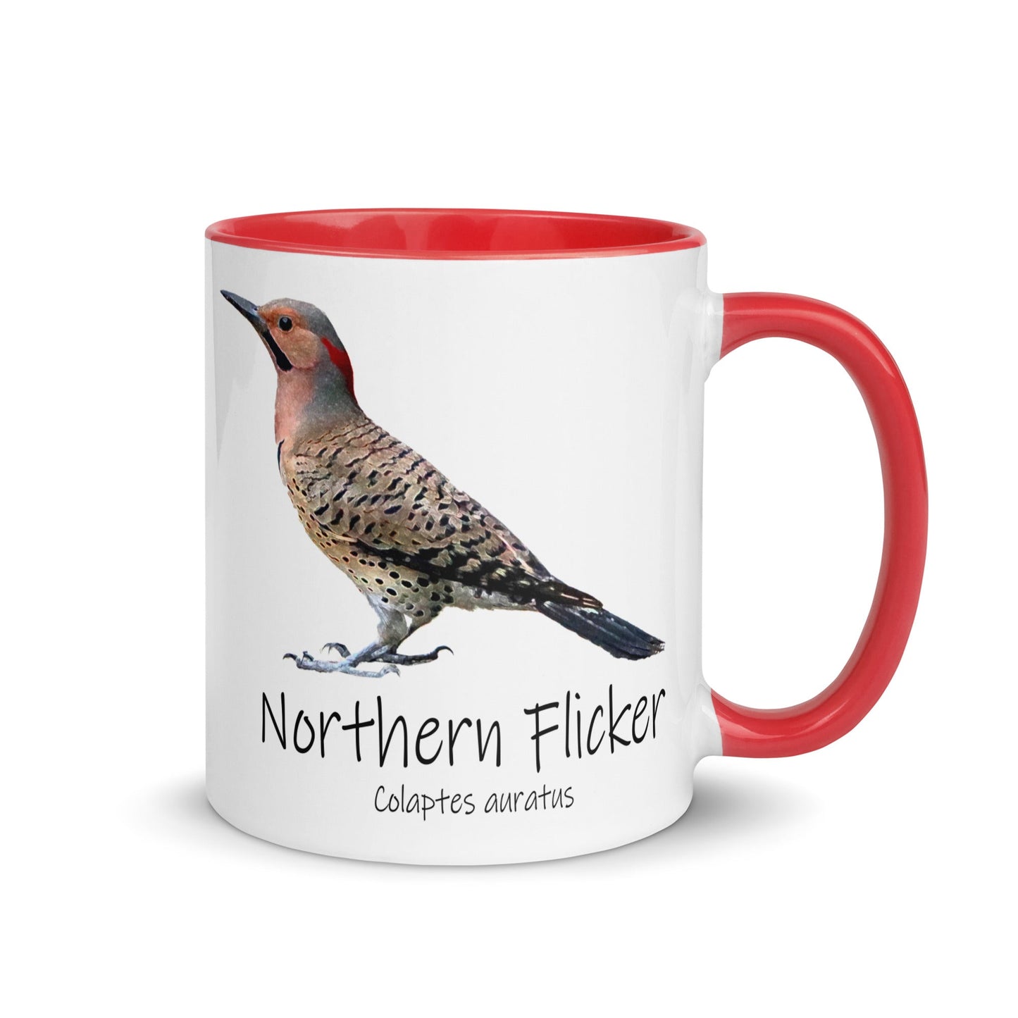 Northern Flicker Mug with Color Inside