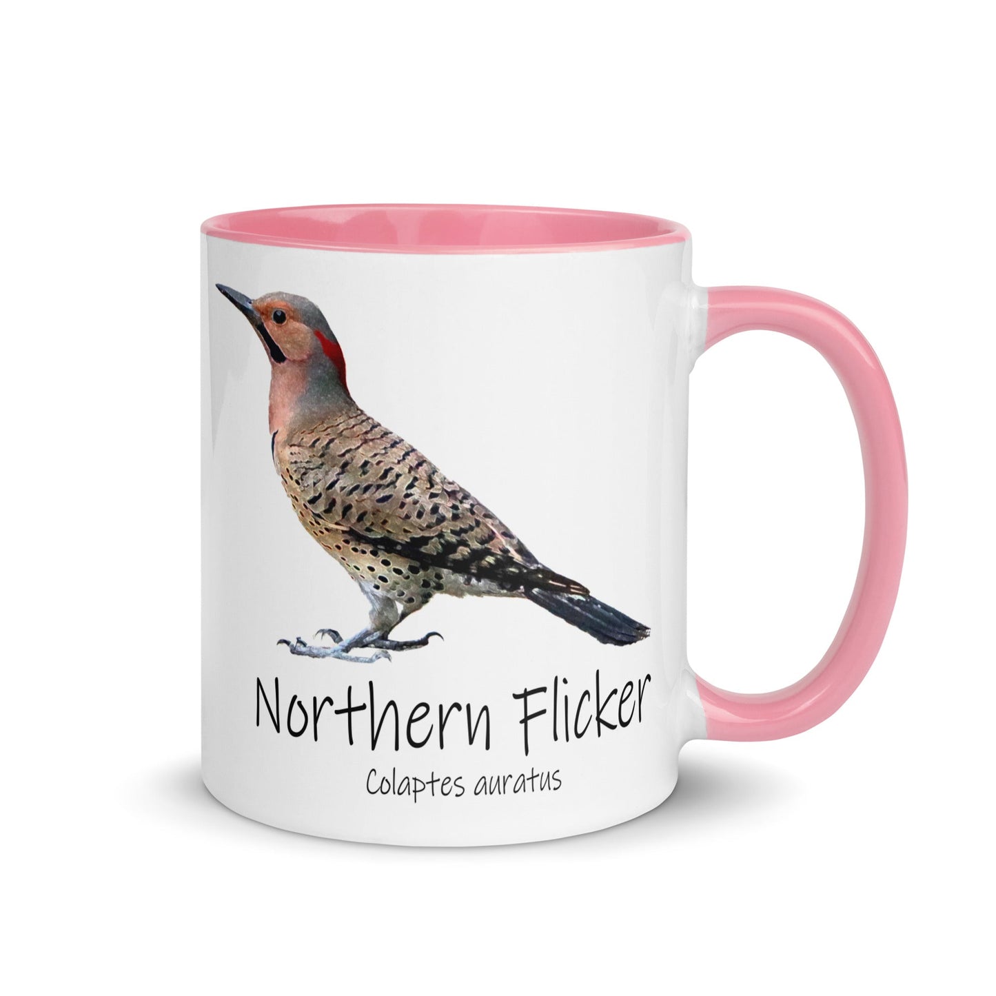 Northern Flicker Mug with Color Inside