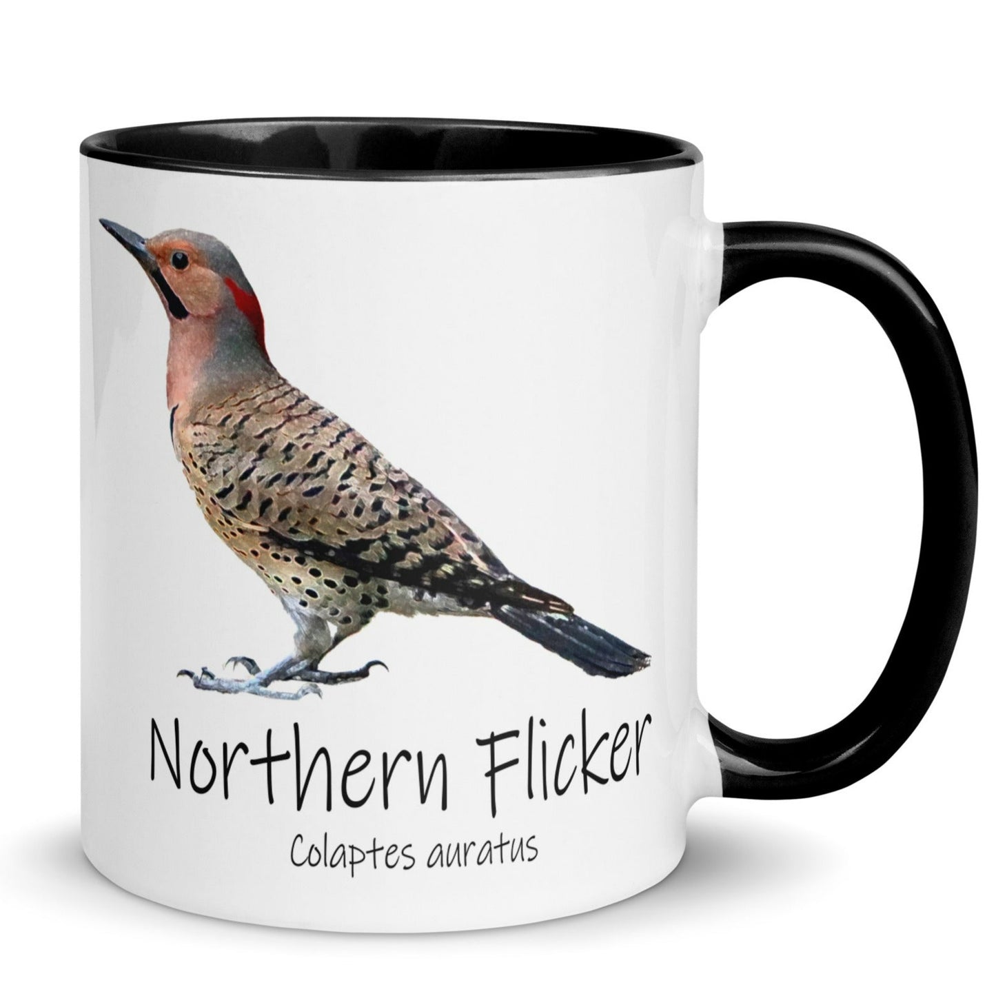 Northern Flicker Mug with Color Inside