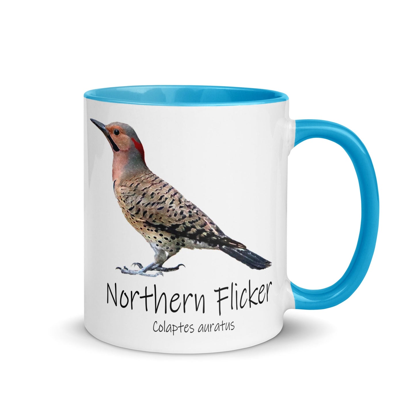 Northern Flicker Mug with Color Inside