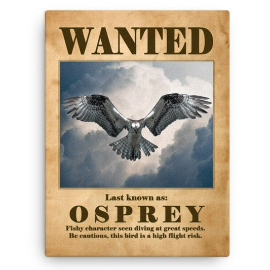 Osprey Hover Canvas Print - 12"x 16"