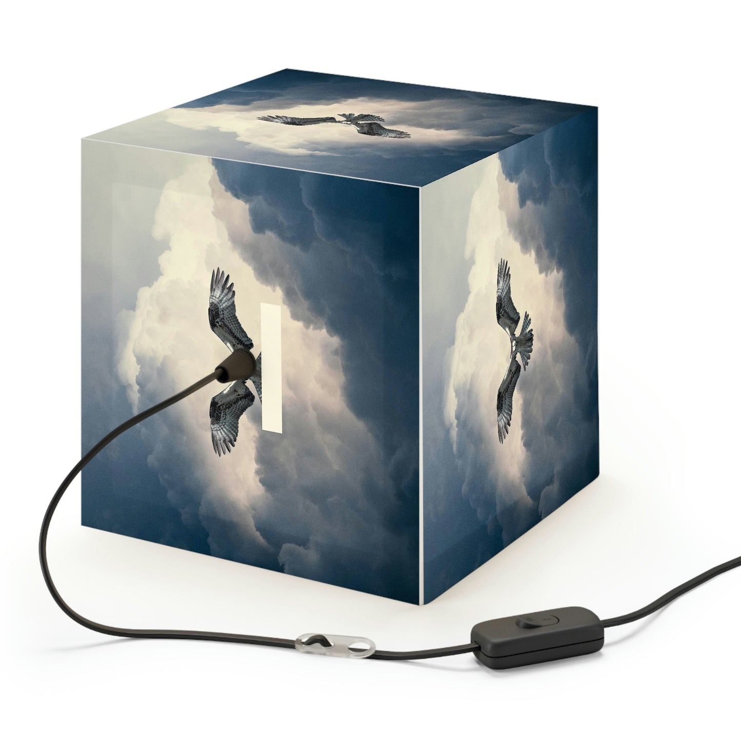 Osprey Light Cube Lamp - Perfect for the birdwatcher in your family