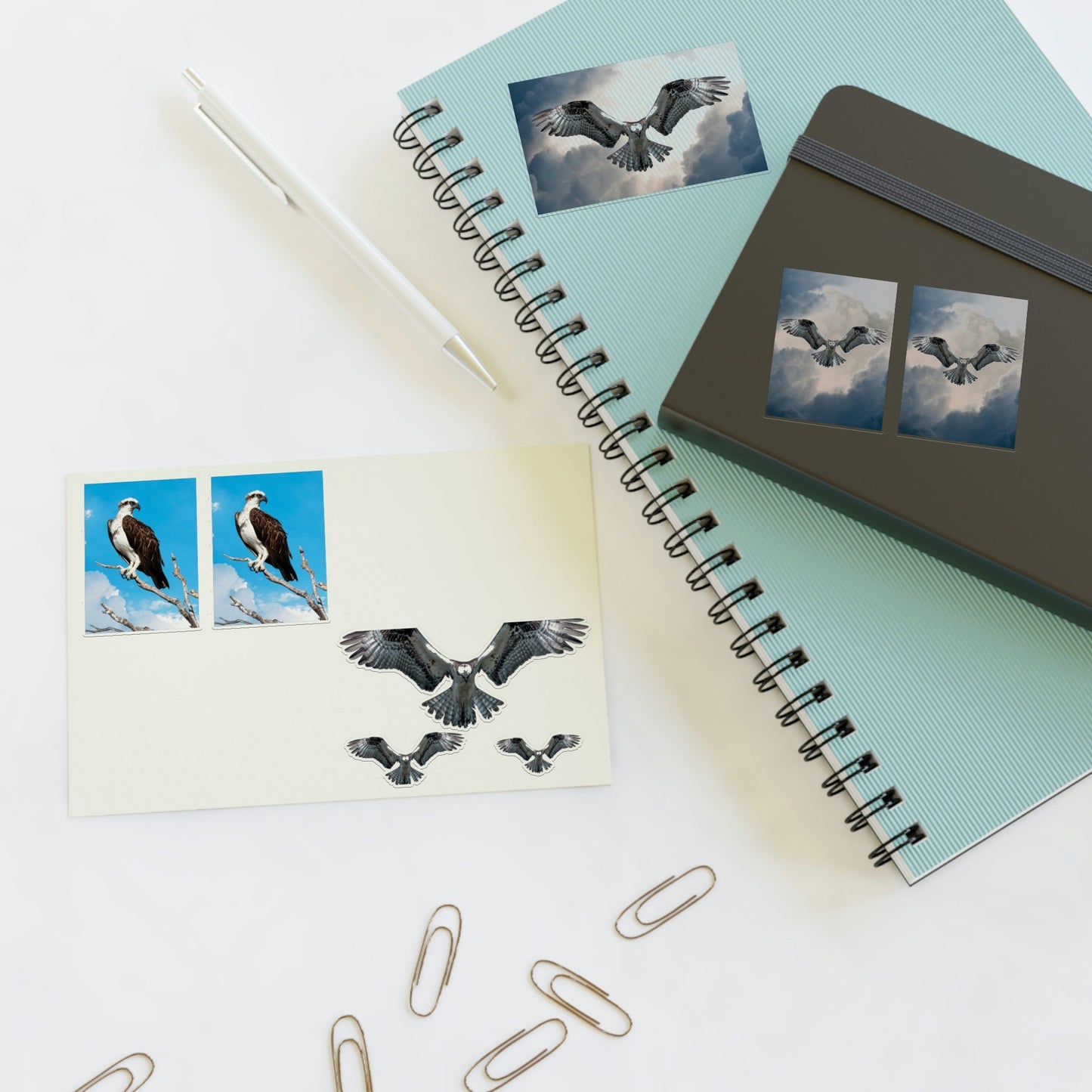 Osprey Sticker Sheet