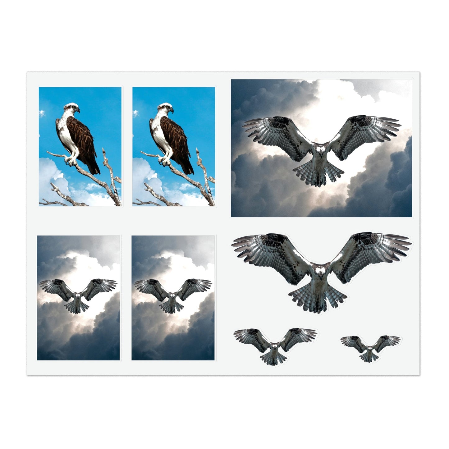 Osprey Sticker Sheet