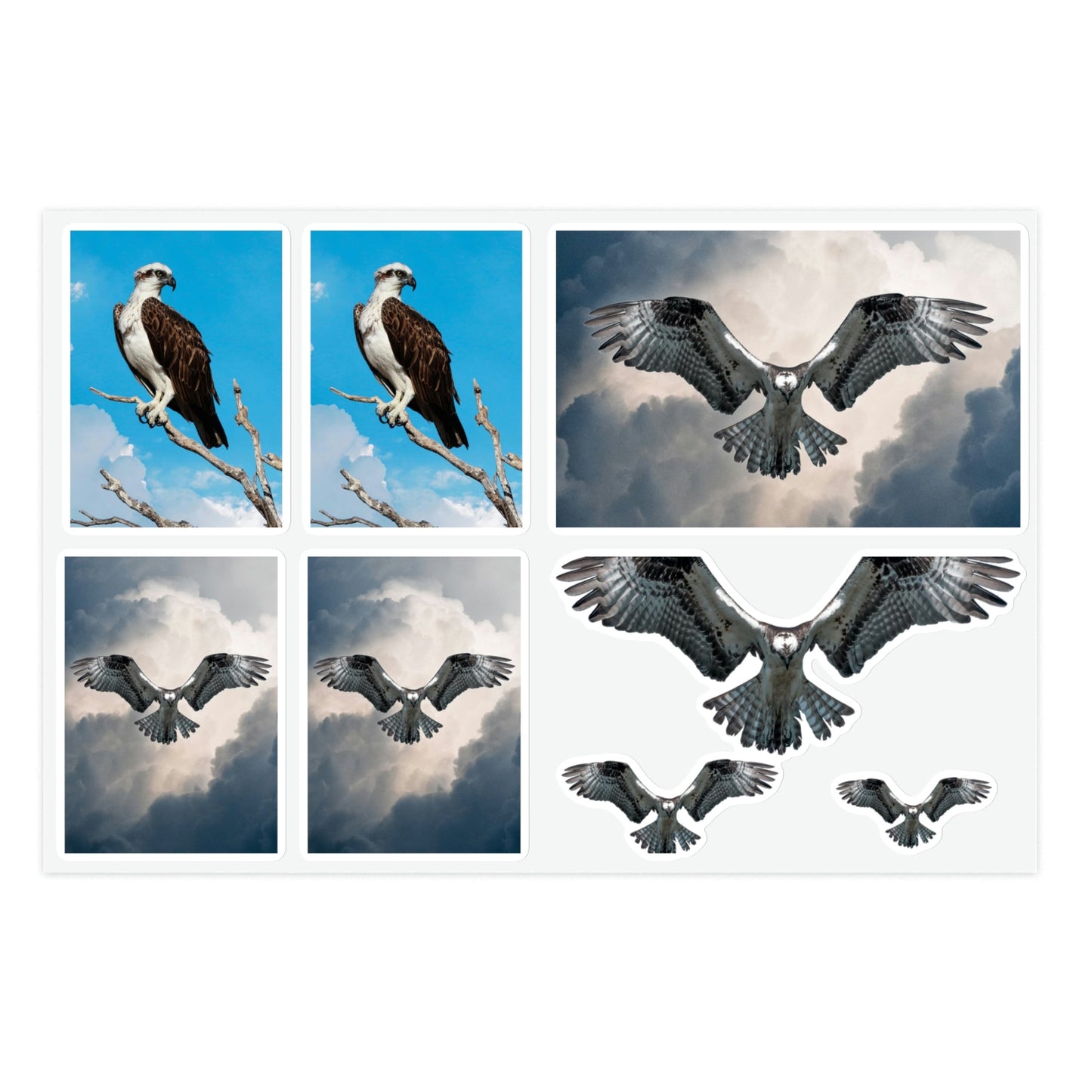 Osprey Sticker Sheet