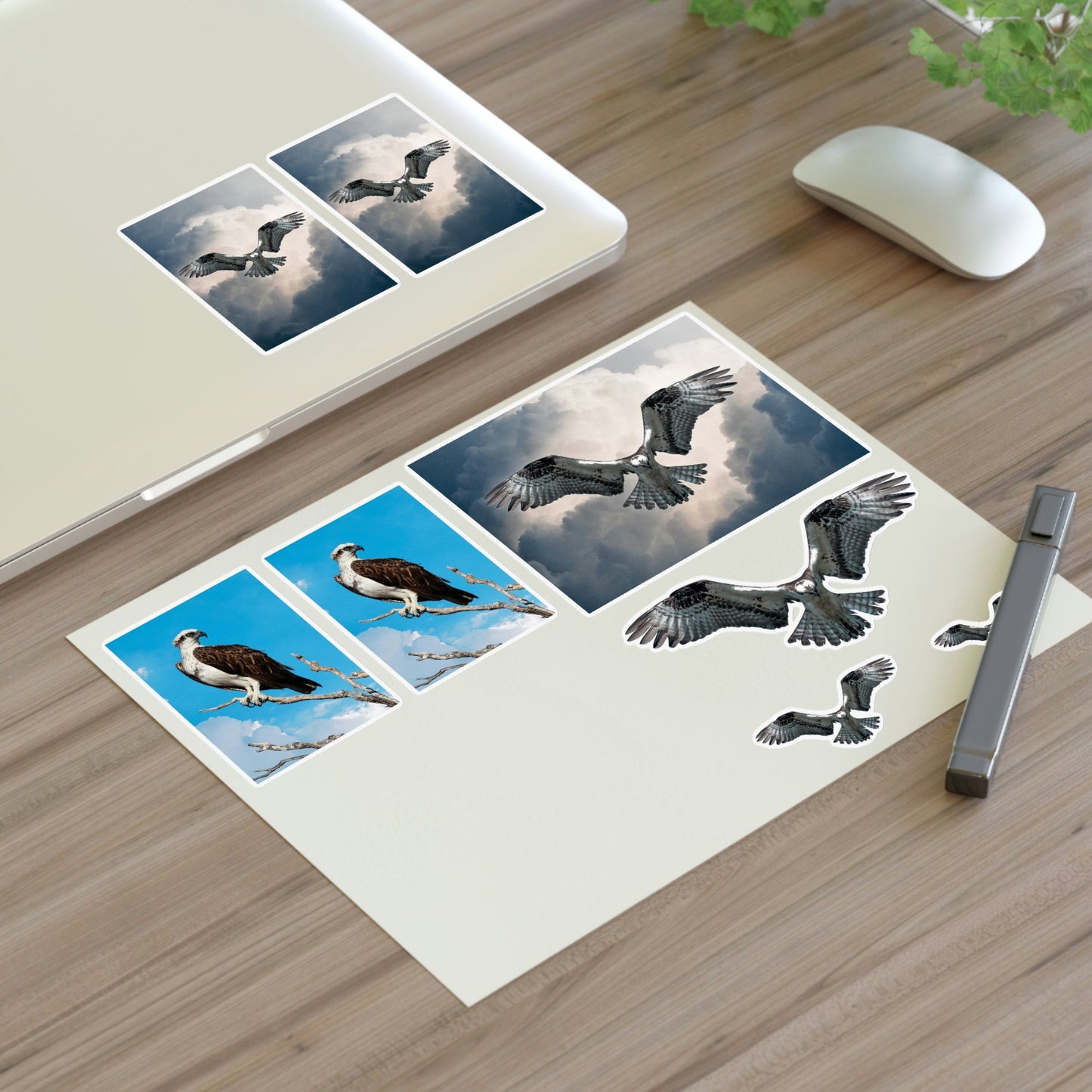 Osprey Sticker Sheet