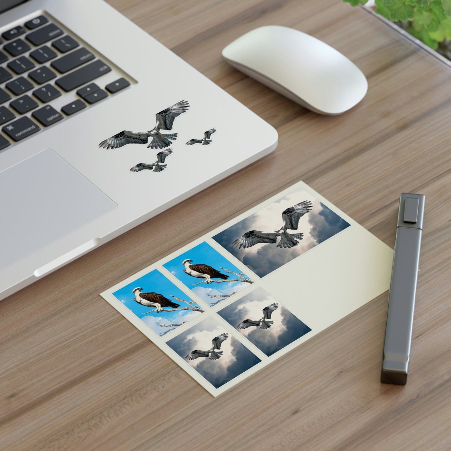Osprey Sticker Sheet