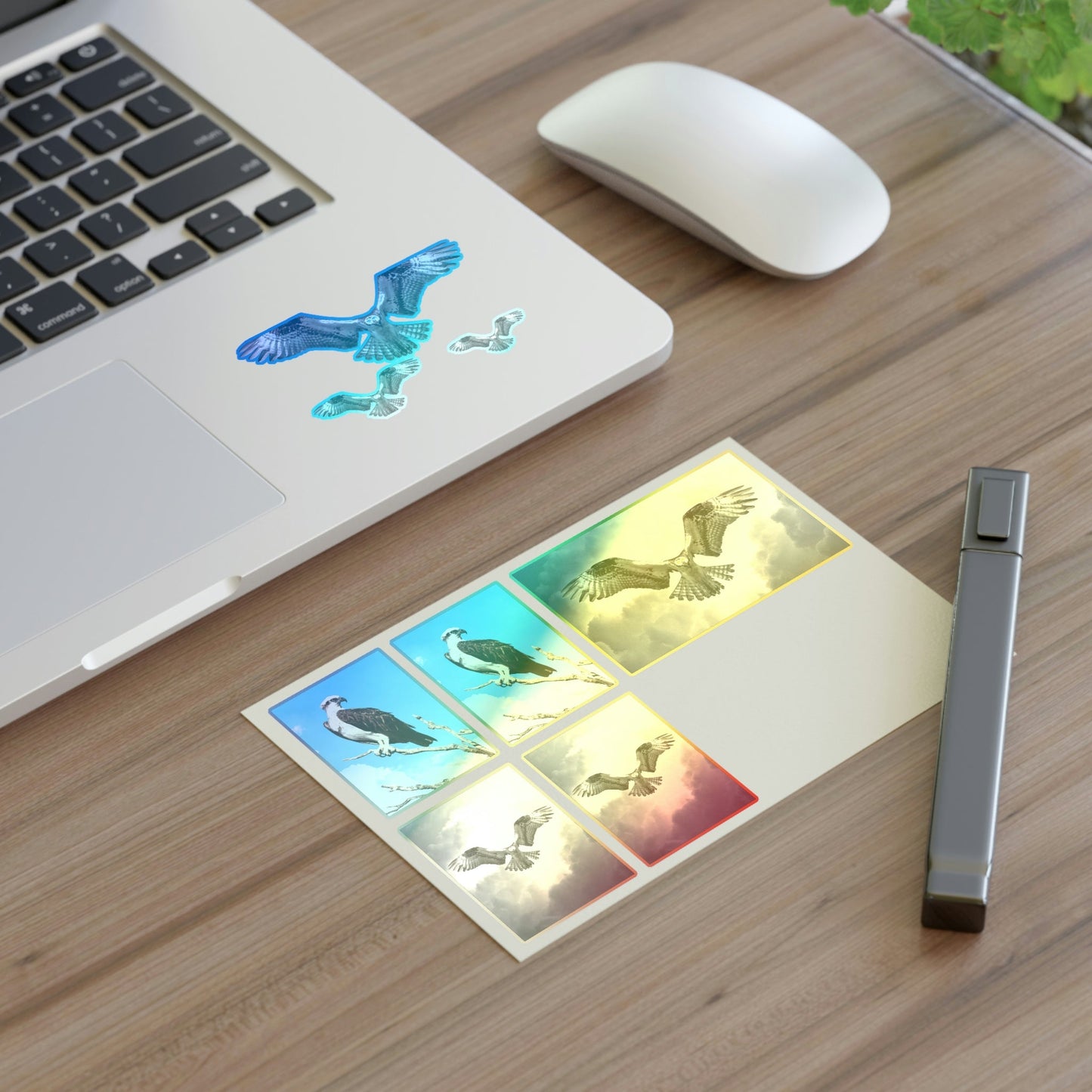 Osprey Sticker Sheet
