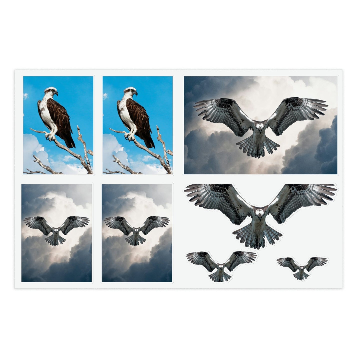 Osprey Sticker Sheet