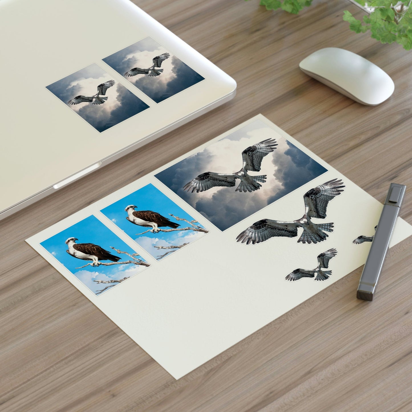Osprey Sticker Sheet