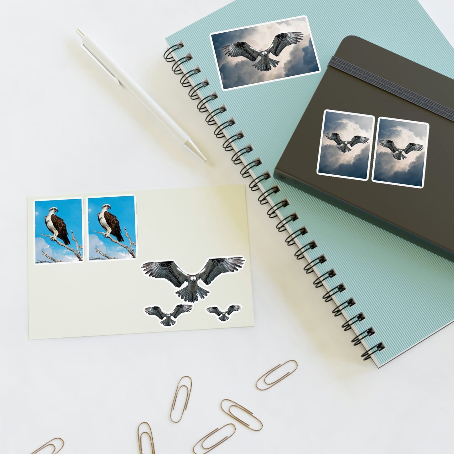 Osprey Sticker Sheet