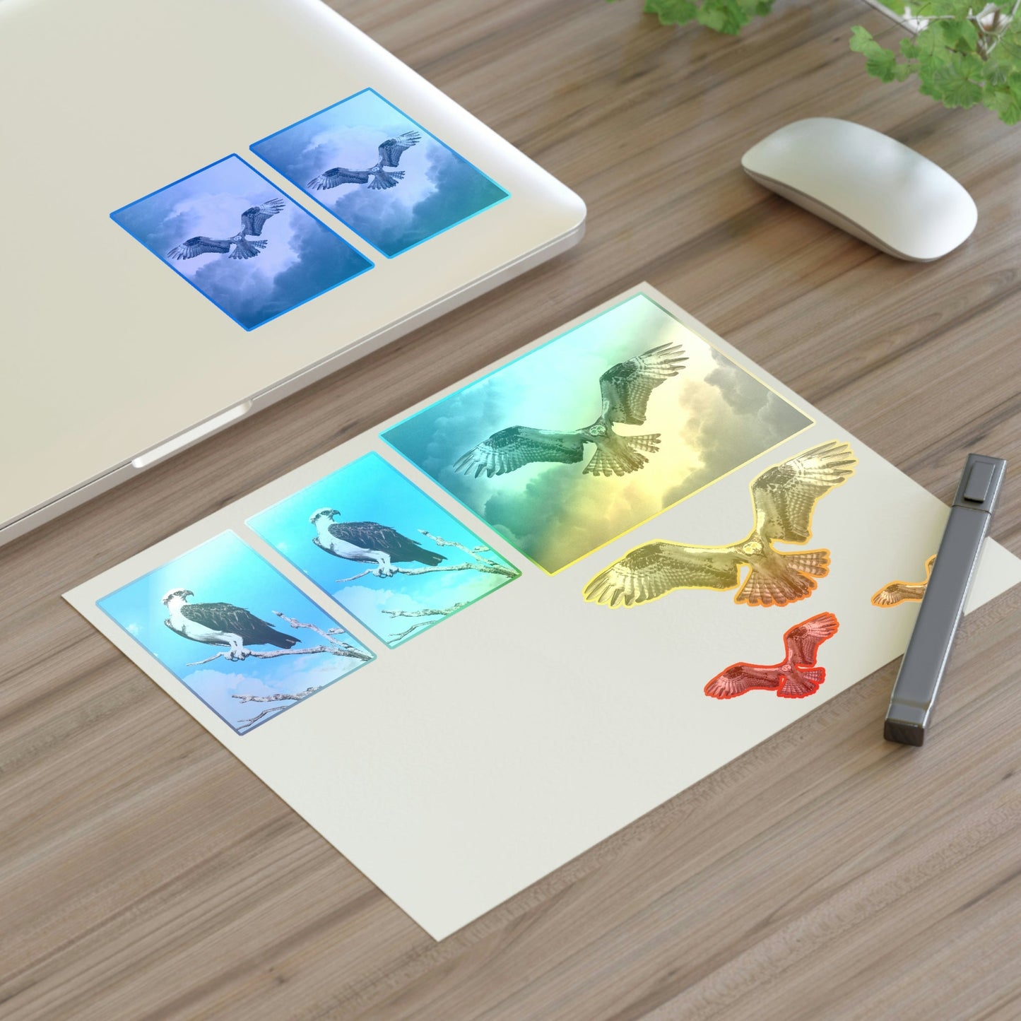 Osprey Sticker Sheet