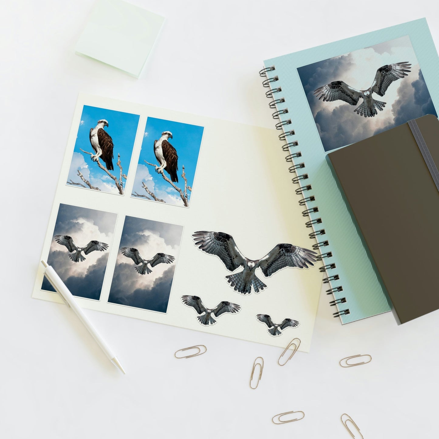 Osprey Sticker Sheet